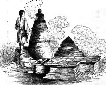 picture41