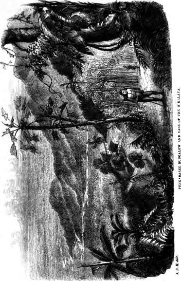 picture8