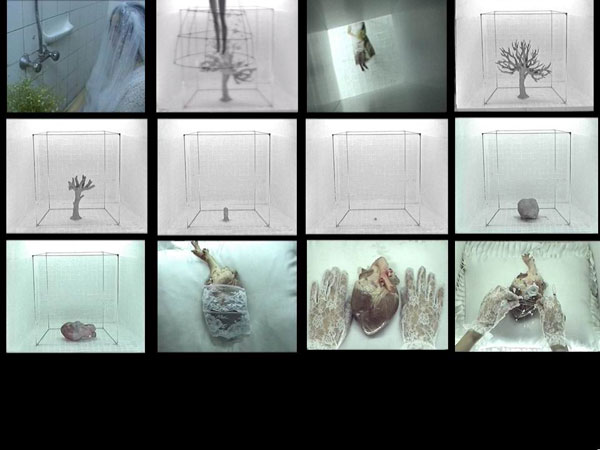 A collage of different images of human hands

Description automatically generated