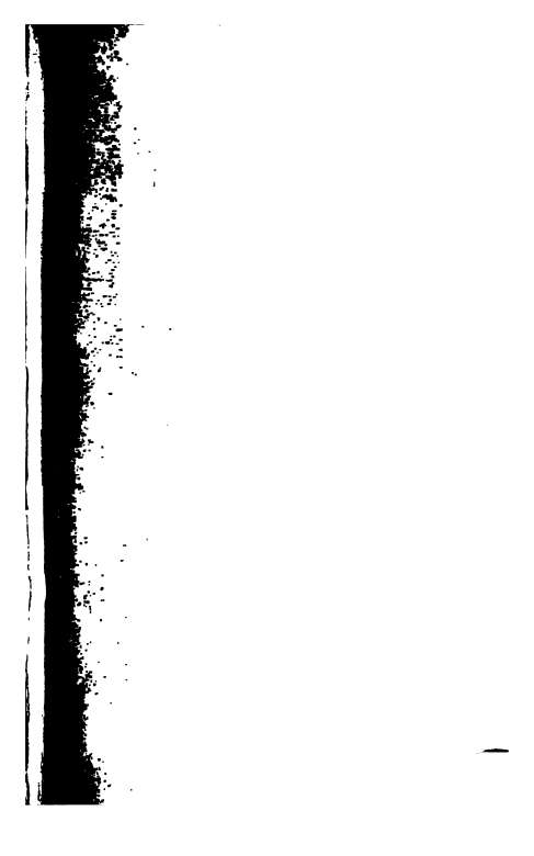 leaf 6