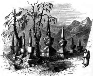 picture33