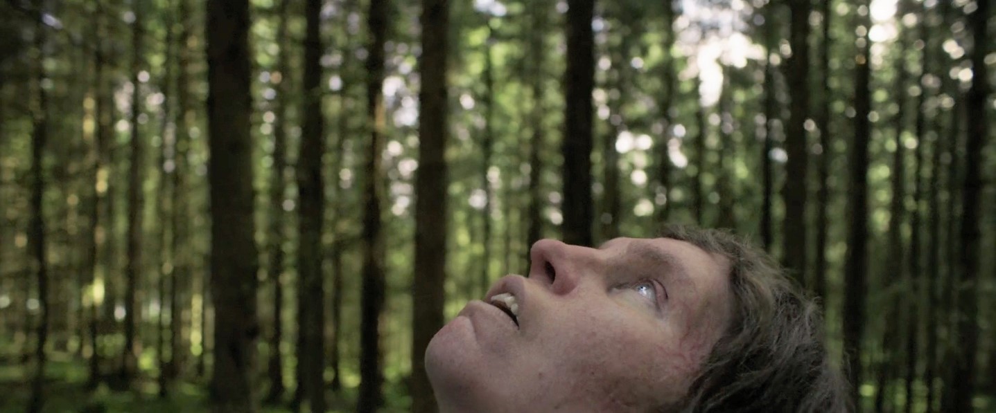 A close-up view of a woman with atavistic facial features against the backdrop of a sun-dappled forest, gazing intently up at the sky.