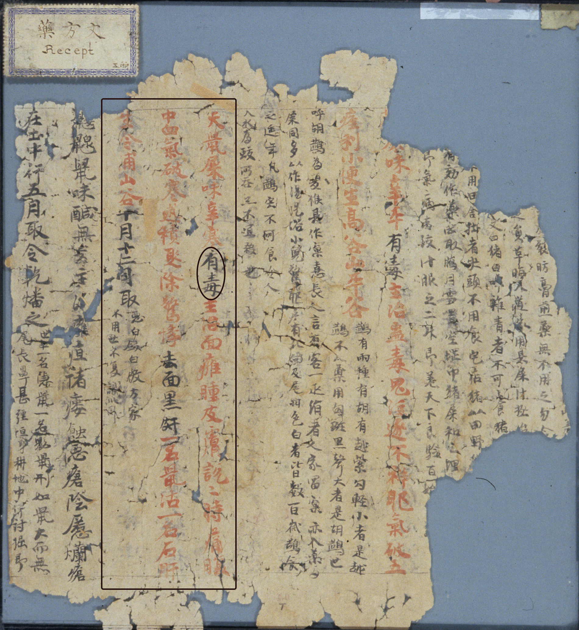A manuscript fragment with torn edges contains handwritten Chinese text in alternating sections of black and red ink, and differently sized script. One section is overlain with a box, drawing attention to the drug entry on bat droppings. The <i>du</i> status of the drug is overlain with a circle around the words “possessing <i>du</i>” (<i>youdu</i>).