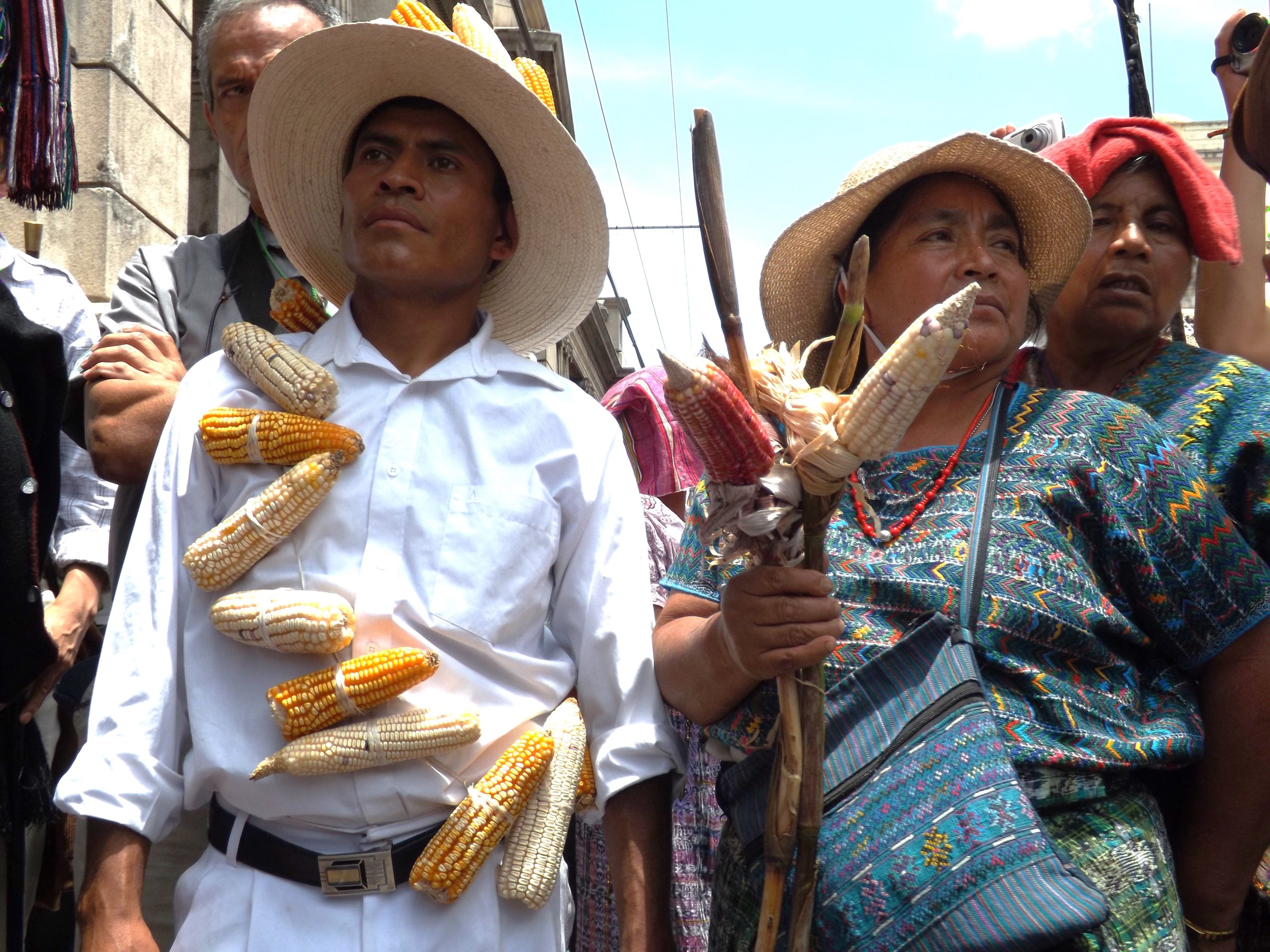A close up of a man and woman in front of a crowd. The man wears a slings of maize cobs, and the woman holds a bouquet of maize.