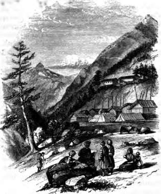 picture20