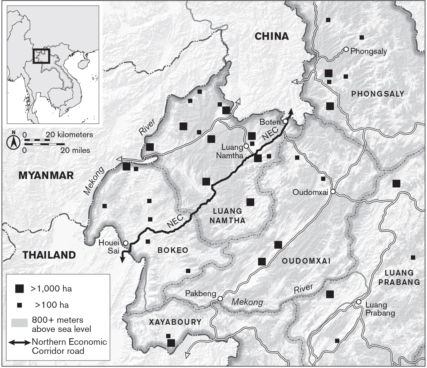 This map of northern Laos shows larger and smaller black squares, representing rubber projects of greater than 1,000 and 100 hectares, respectively, distributed across Luang Namtha, Oudomxai, Bokeo, Xayaboury, Phongsaly, and Luang Prabang provinces. Projects appear in all provinces north, but are concentrated in Luang Namtha, which contains 8 large squares and 6 small squares.