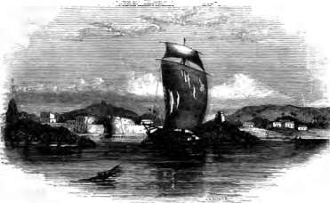 picture7