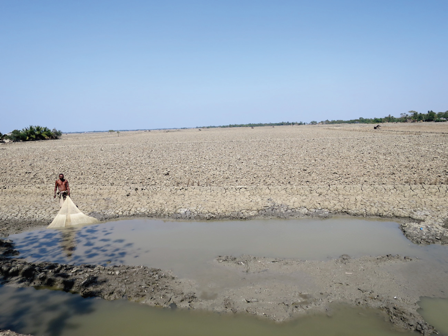 A photograph of pale, dry, cracked land alongside still water under a clear sky. A single man casts a net from the edge of the water.