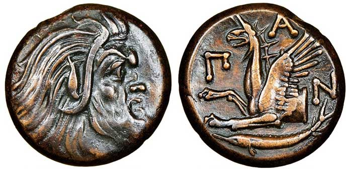 Bronze coin from the city of Panticapaeum 310 – 304/3 BC, 21 mm, 6.5 grams. Obverse depiction of Pan, reverse griffin. REF: MacDonal 69. Anokhin 1023. SNG BM (Black Sea) 869-11 