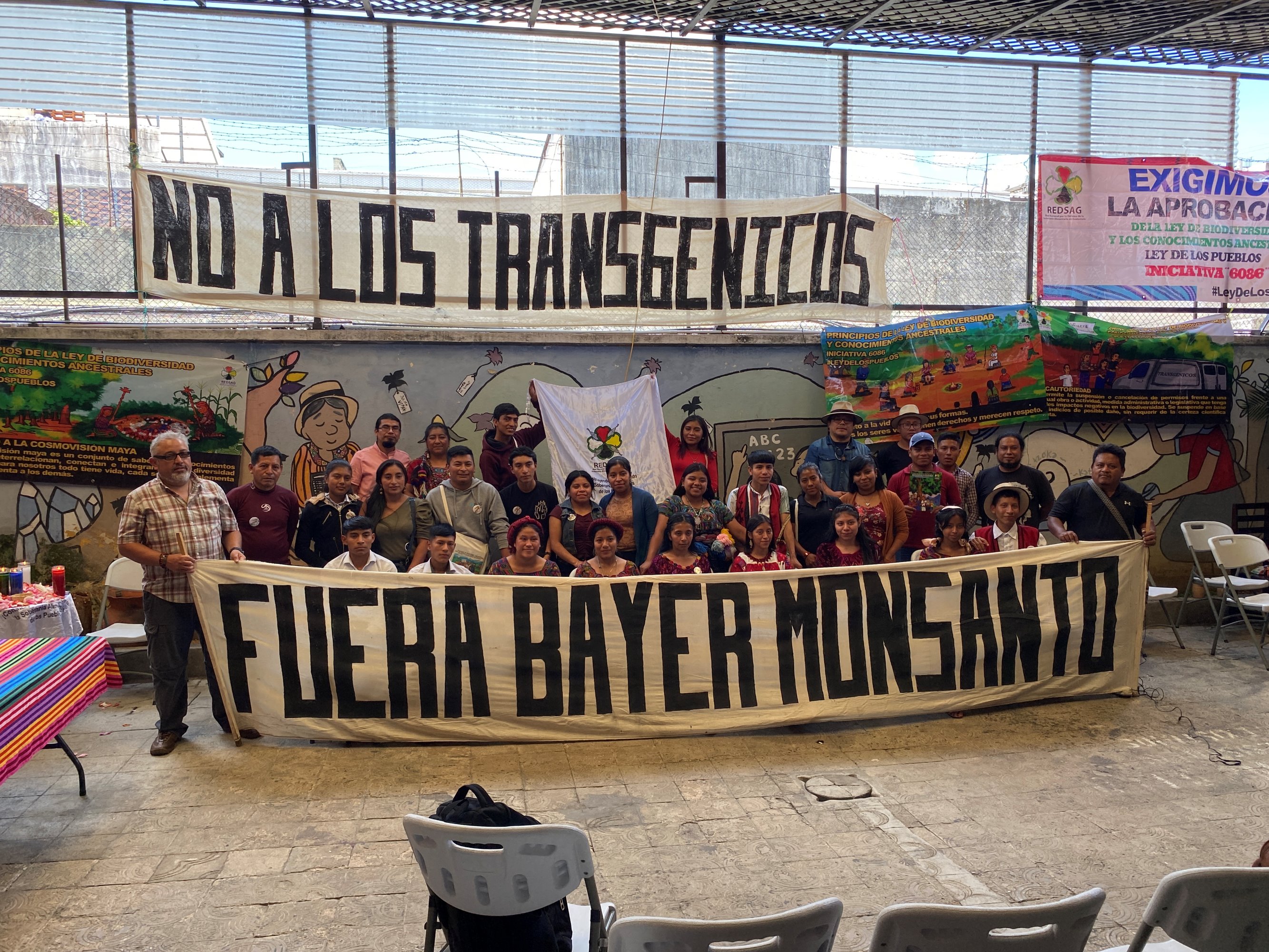 A group of two dozen Maya youth and a few adults hold a 15-foot banner with “Go away Bayer Monsanto” in large block letters Above them are other banners and behind them is a mural.