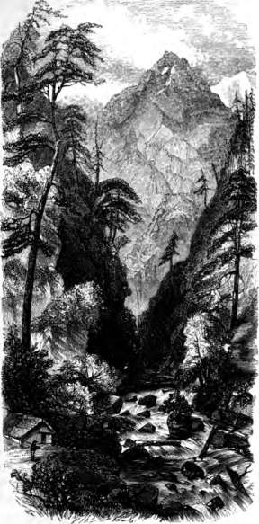 picture19