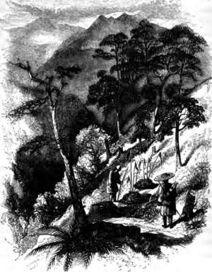 picture11