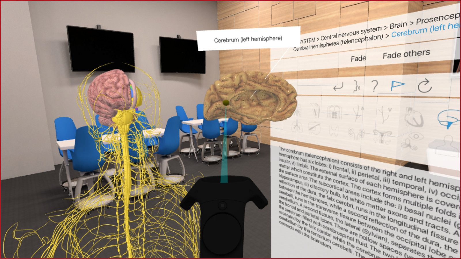 3D Organon VR