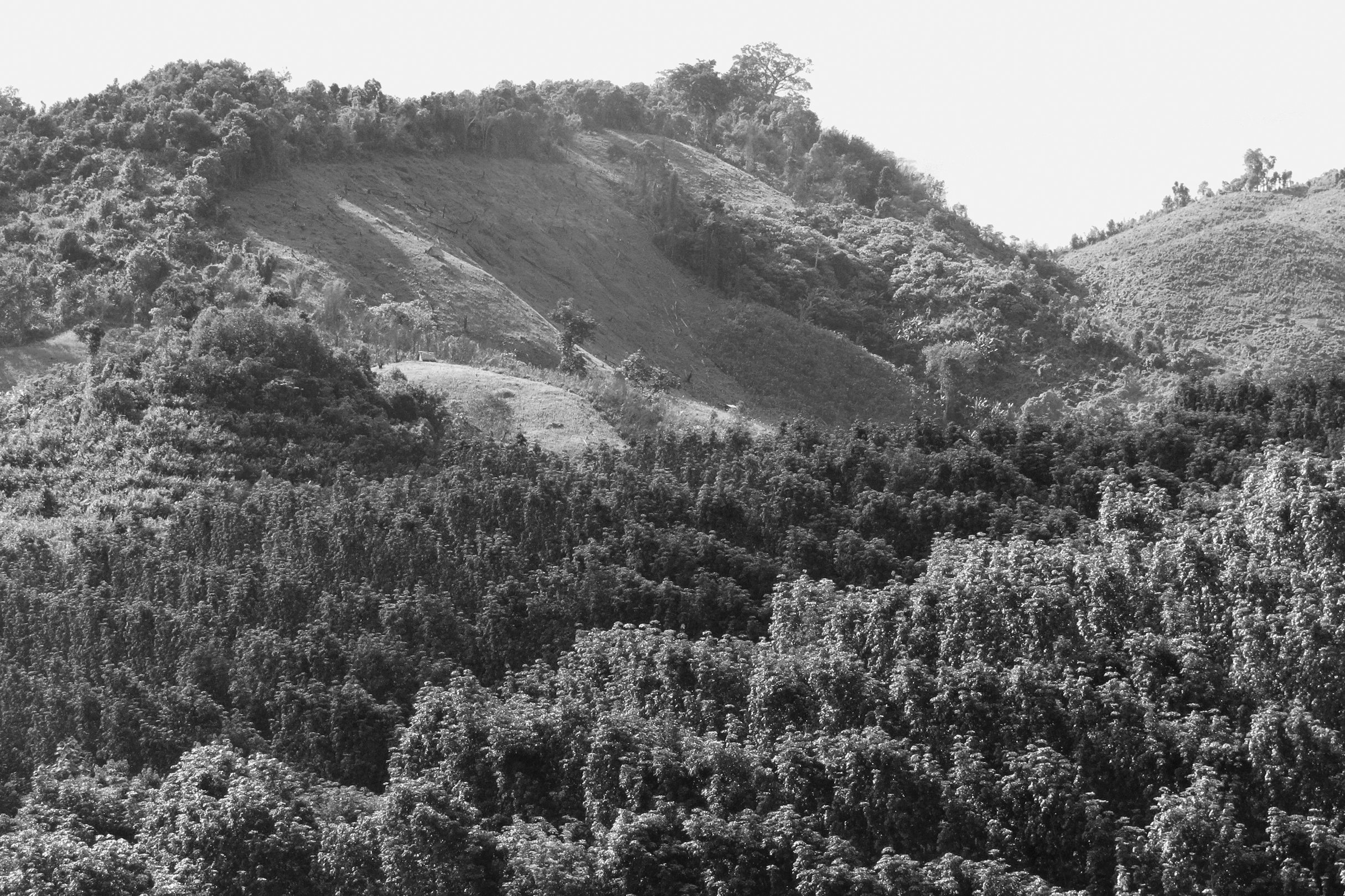 A photograph of rolling hills with two low, tree-covered ridges in the foreground, and a higher hill in the background with trees along the top and a cleared steep slope in front.