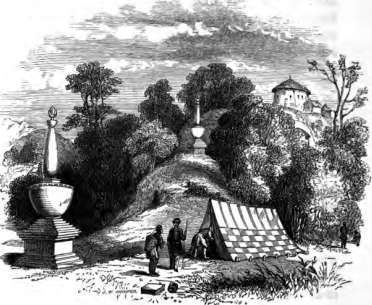 picture29
