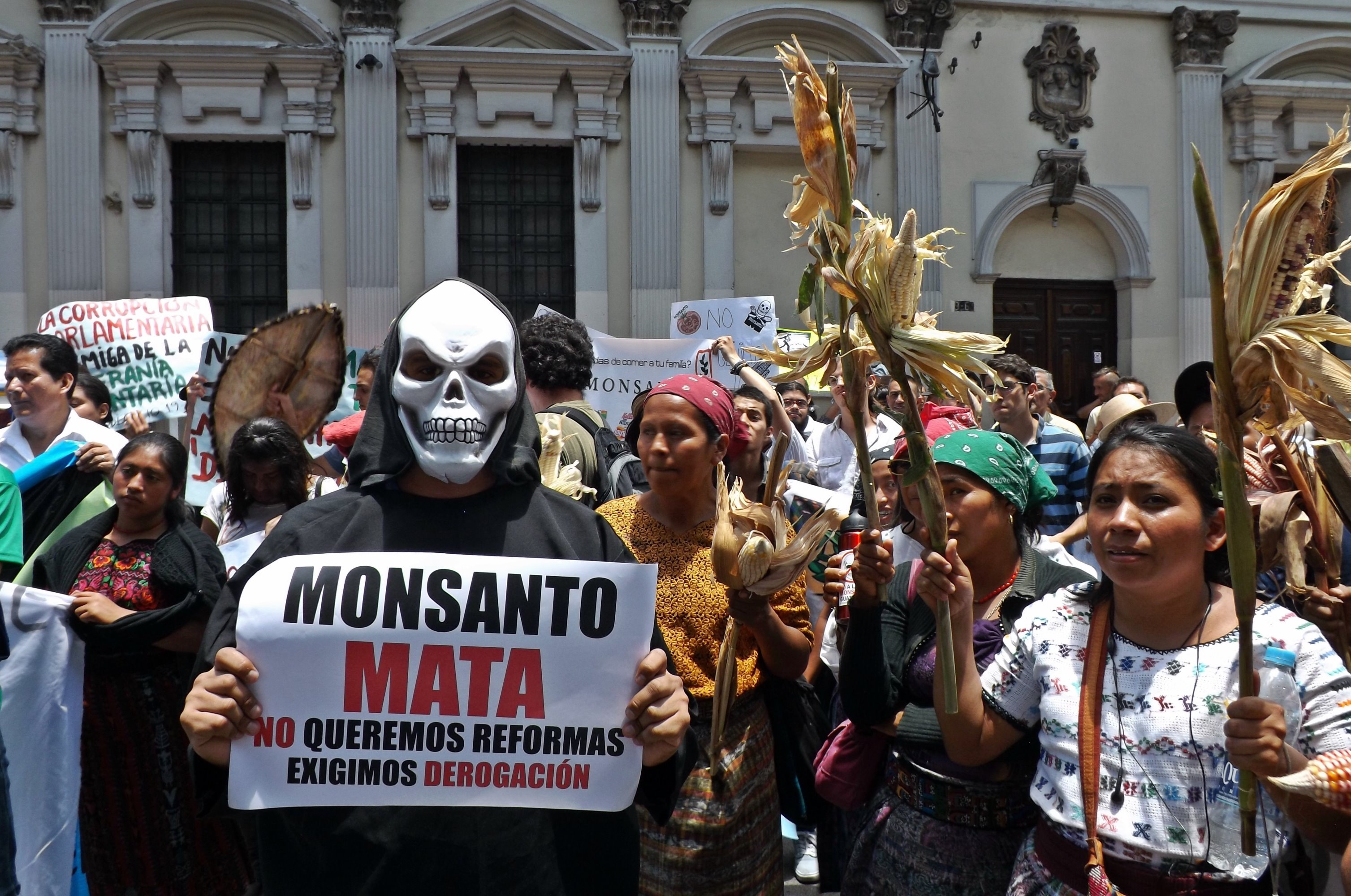 Crowd of people in front of a colonial-style building. Women brandish stalks of maize, others hold banners, and a person with an ominous skeleton mask stands in foreground.