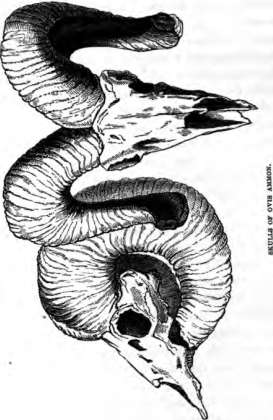 picture26