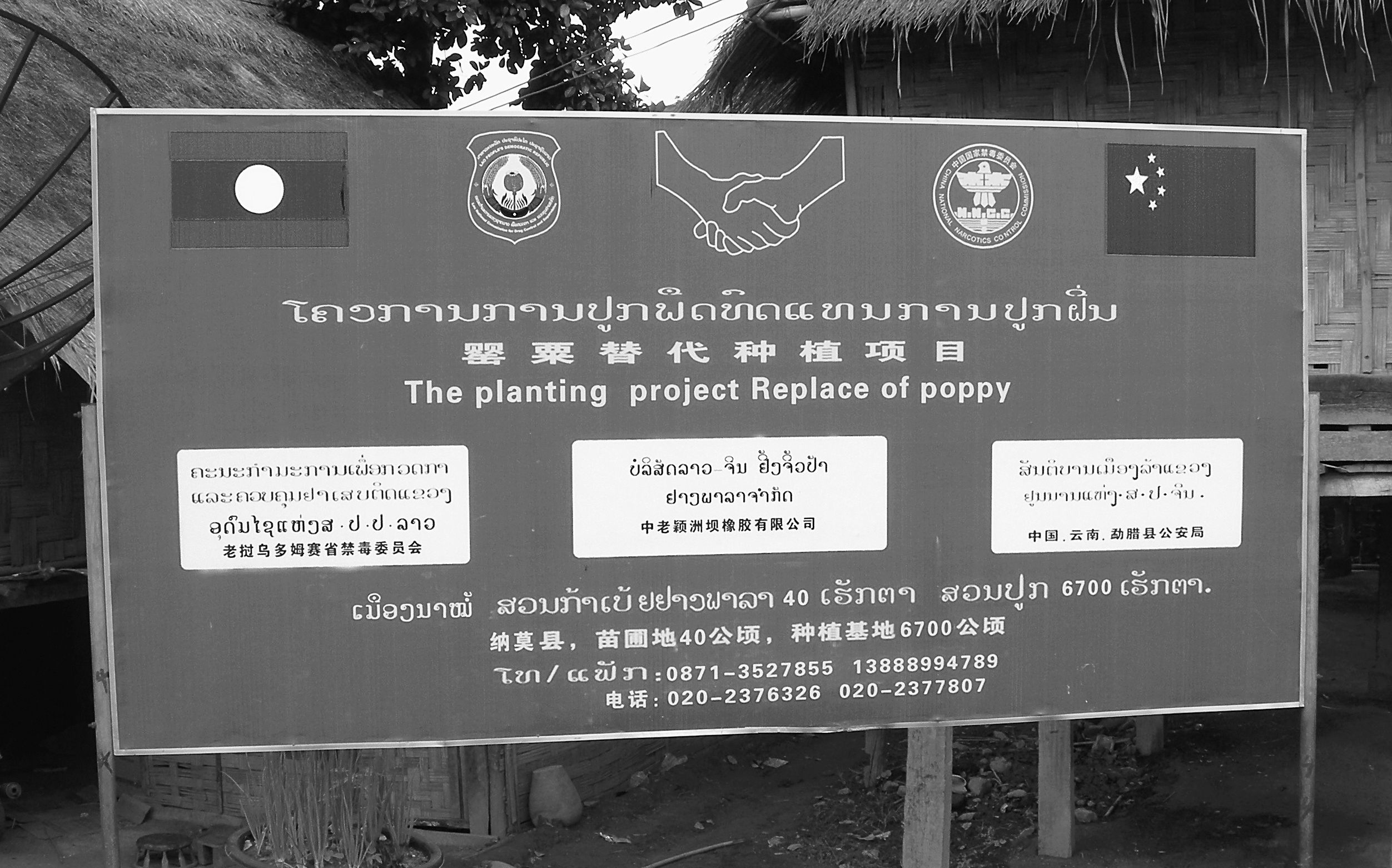 A photograph of a sign board advertising the poppy replacement project, with “the planting project replace of poppy” written in English and the equivalent text in Lao and Chinese. The sign shows the Lao and Chinese flags linked by an icon of two hands grasped together. Some additional text is mostly illegible but includes the figure 6,700 hectares in the Lao language.