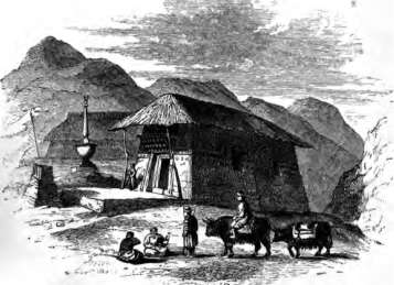 picture36