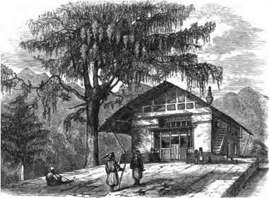 picture38