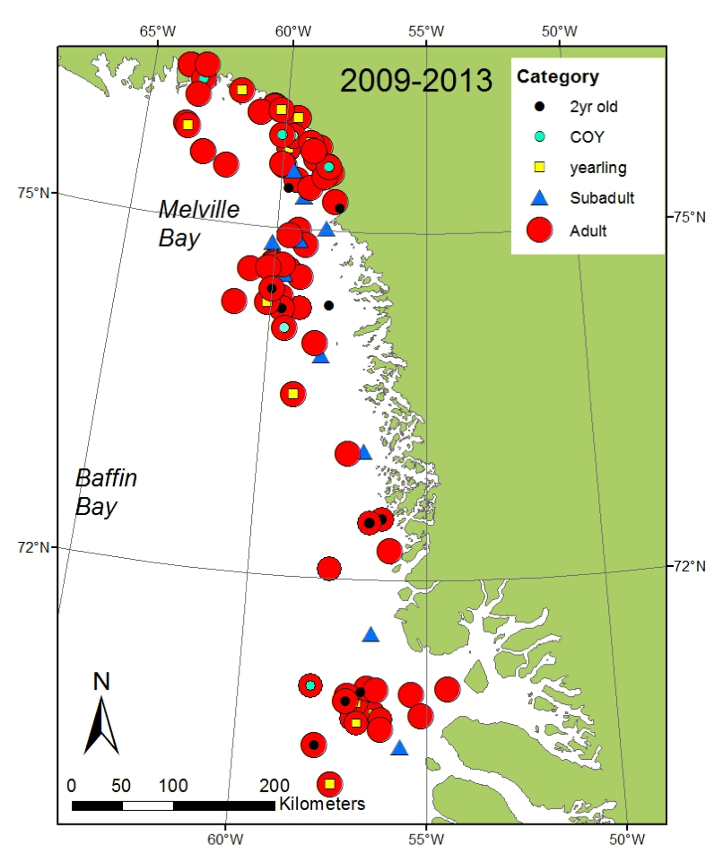 Arctic Science image