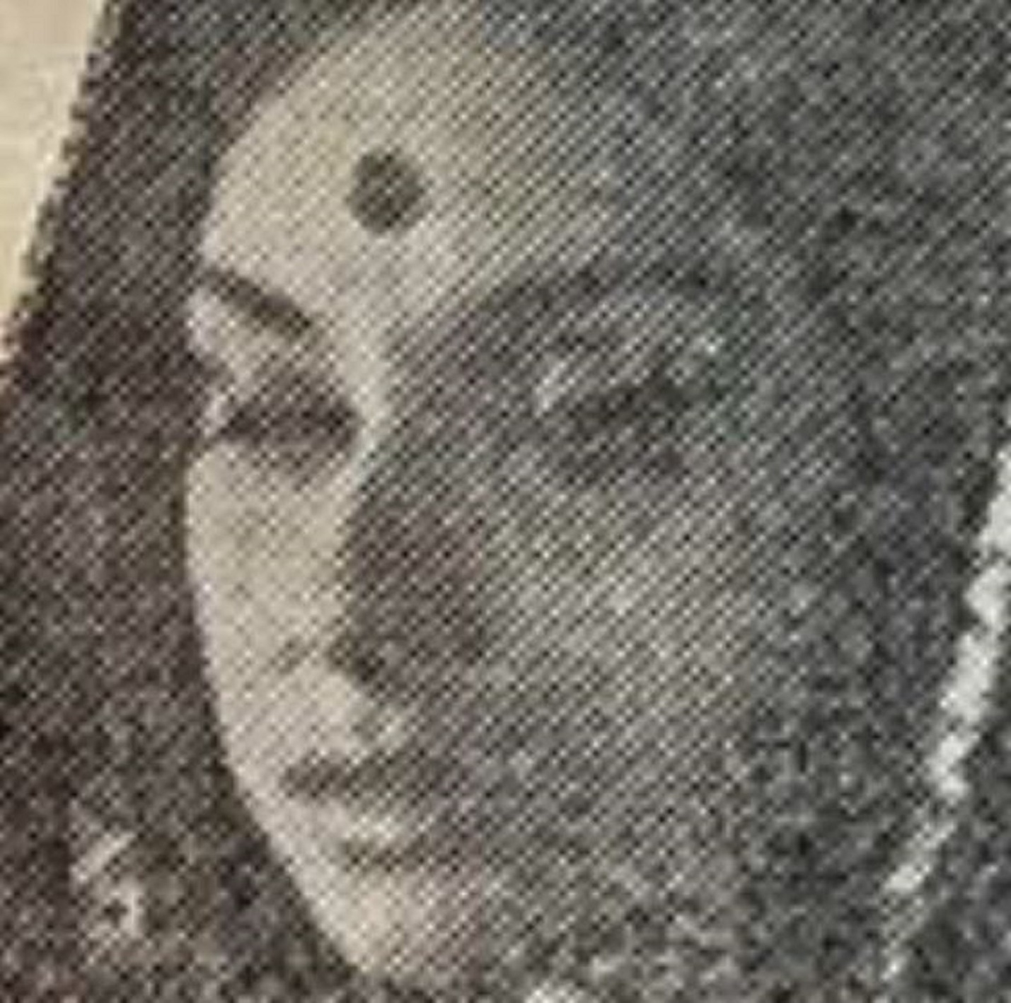 A person with a dot on her forehead

AI-generated content may be incorrect.