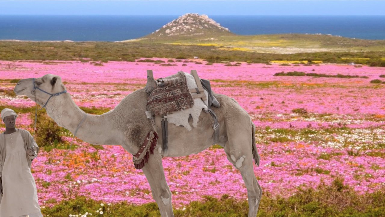 The Future Was Desert (Part I & II) – Sophia Al-Maria | Onassis Foundation