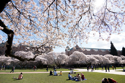 Manifold at the University of Washington