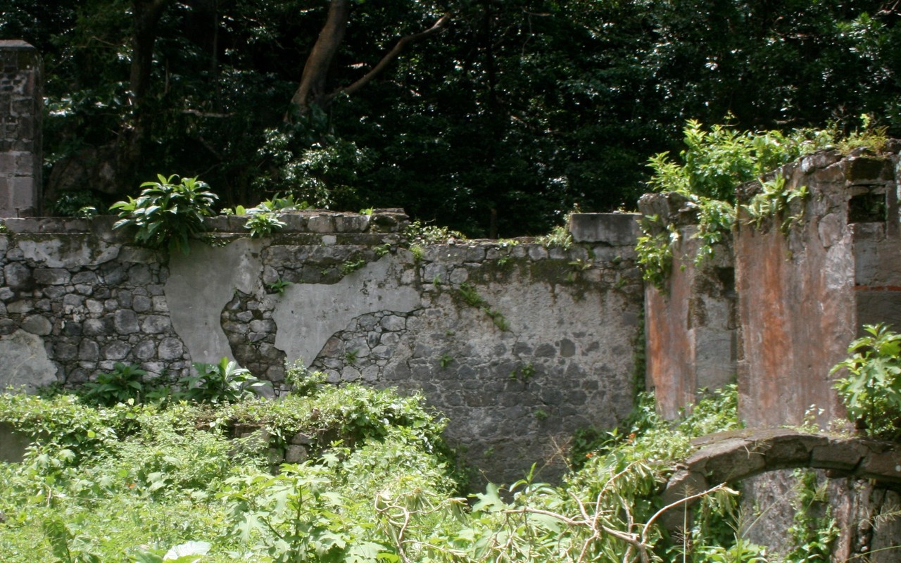 A photograph of a ruin made up of a low brick wall covered by green plants, with an overgrown courtyard and green trees in the background.