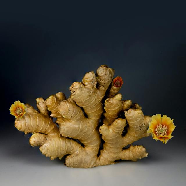 ginger root