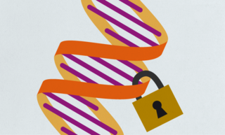 Cover of Genetic Databases: Risks To Consider When Sharing Our DNA