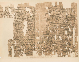 Cover of Availability of Information Throughout History